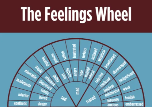 The Feeling Wheel